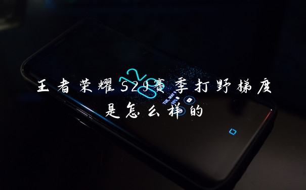 王者荣耀s29赛季打野梯度是怎么样的