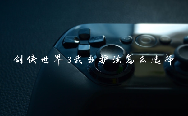 剑侠世界3武当护法怎么选择