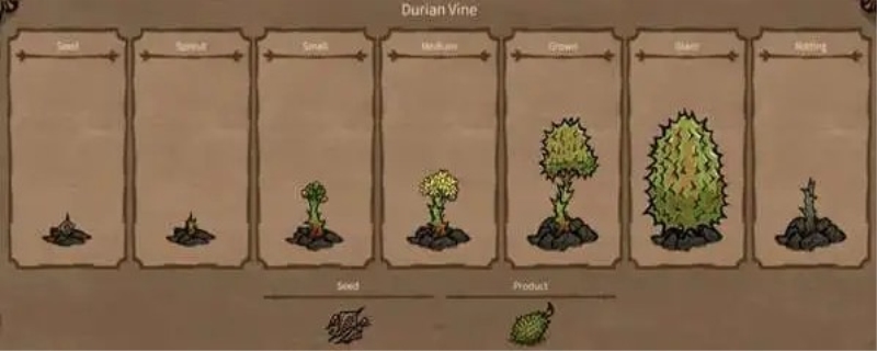 饥荒蕨类植物是干什么的