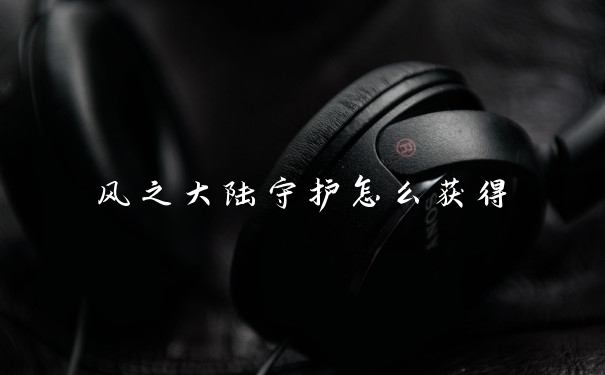 风之大陆守护怎么获得