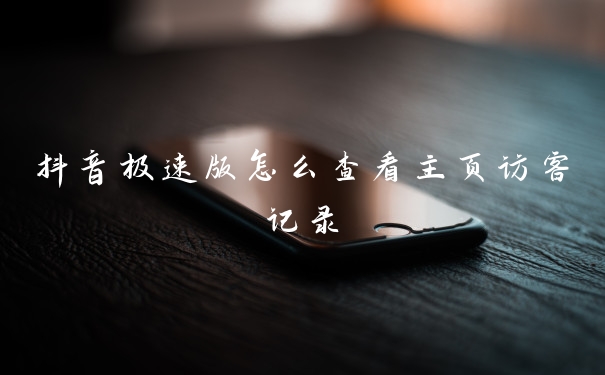 抖音极速版怎么查看主页访客记录