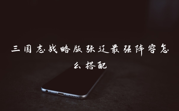 三国志战略版张辽最强阵容怎么搭配