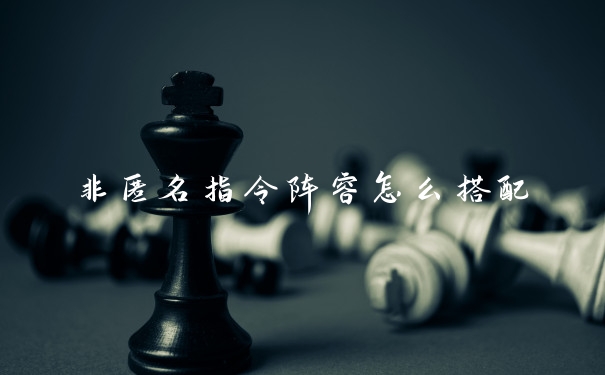 非匿名指令阵容怎么搭配