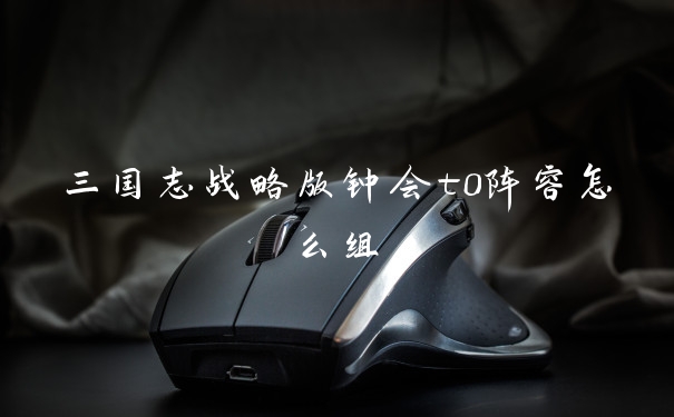 三国志战略版钟会t0阵容怎么组