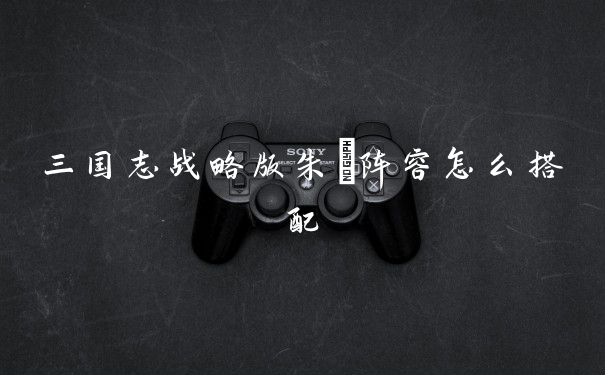 三国志战略版朱儁阵容怎么搭配