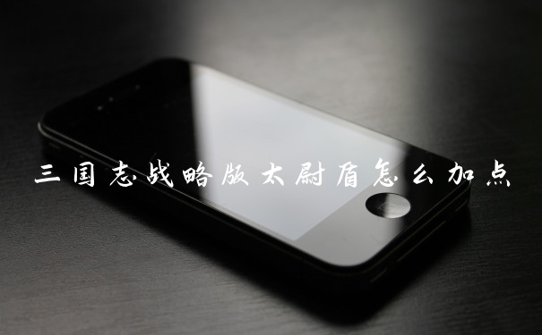 三国志战略版太尉盾怎么加点