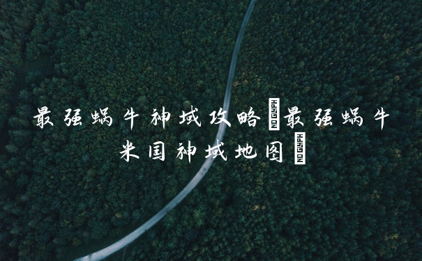 最强蜗牛神域攻略(最强蜗牛米国神域地图)