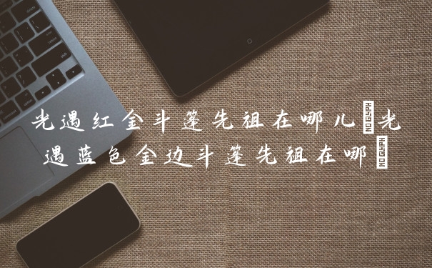 光遇红金斗篷先祖在哪儿(光遇蓝色金边斗篷先祖在哪)