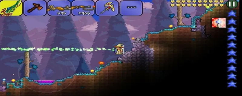 泰拉瑞亚视域之魂的作用是什么