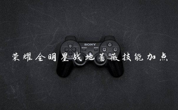 荣耀全明星战地蔷薇技能加点