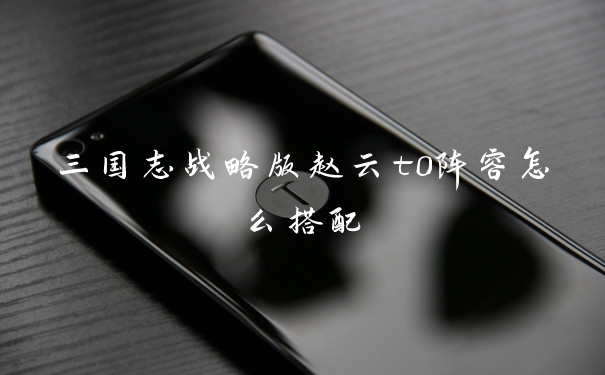 三国志战略版赵云t0阵容怎么搭配