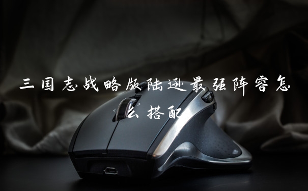 三国志战略版陆逊最强阵容怎么搭配