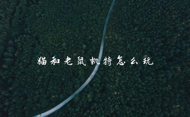 猫和老鼠凯特怎么玩
