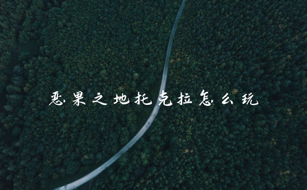 恶果之地托克拉怎么玩