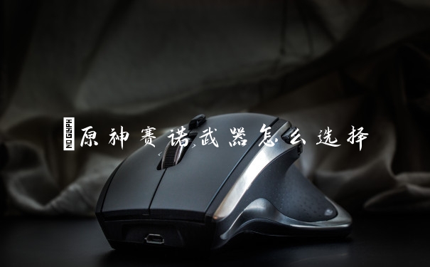 ​原神赛诺武器怎么选择