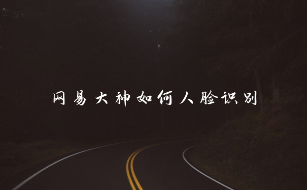 网易大神如何人脸识别