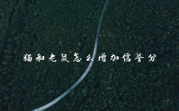 猫和老鼠怎么增加信誉分