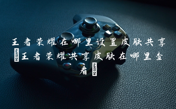 王者荣耀在哪里设置皮肤共享(王者荣耀共享皮肤在哪里查看)