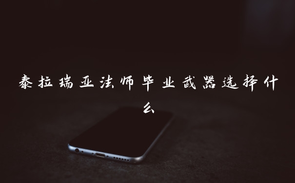 泰拉瑞亚法师毕业武器选择什么