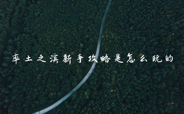 率土之滨新手攻略是怎么玩的