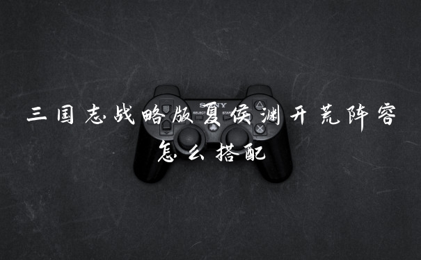 三国志战略版夏侯渊开荒阵容怎么搭配