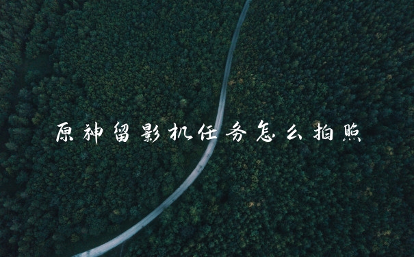 原神留影机任务怎么拍照