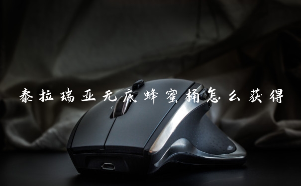 泰拉瑞亚无底蜂蜜桶怎么获得