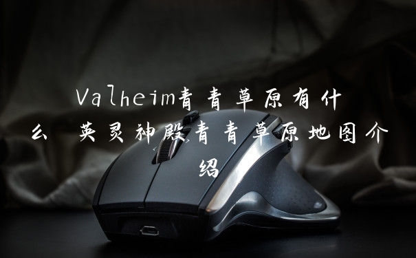 Valheim青青草原有什么 英灵神殿青青草原地图介绍