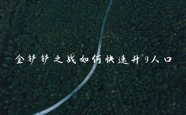 金铲铲之战如何快速升9人口