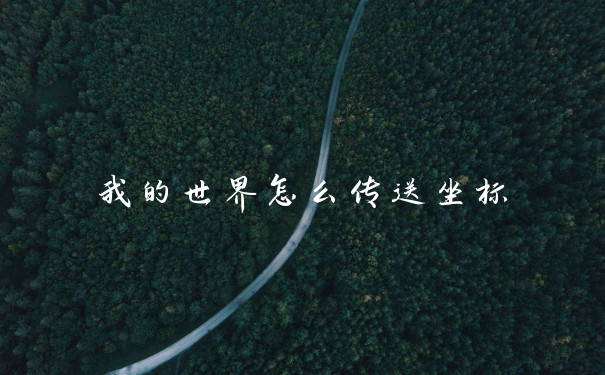 我的世界怎么传送坐标