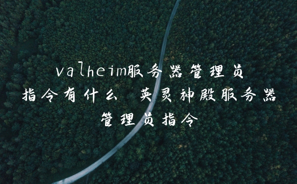 valheim服务器管理员指令有什么 英灵神殿服务器管理员指令