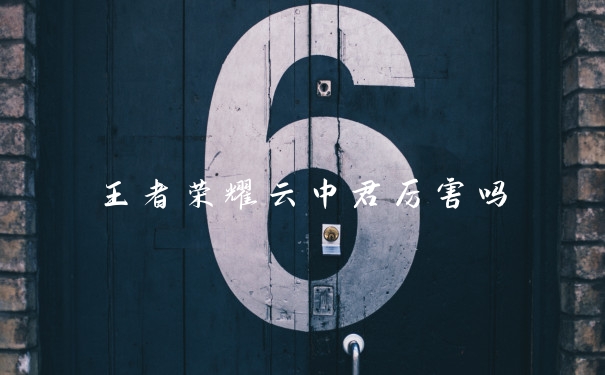 王者荣耀云中君厉害吗