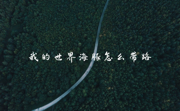 我的世界海豚怎么带路