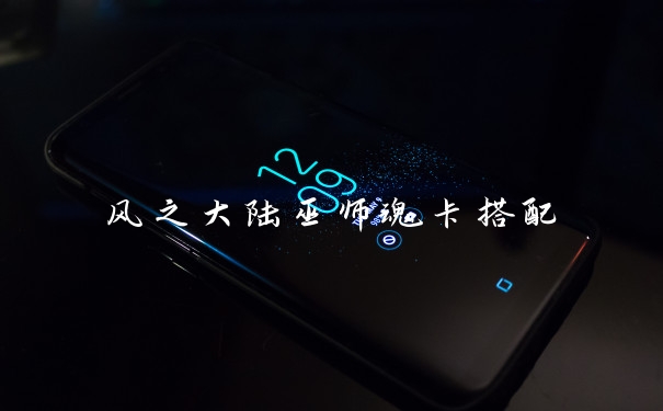 风之大陆巫师魂卡搭配