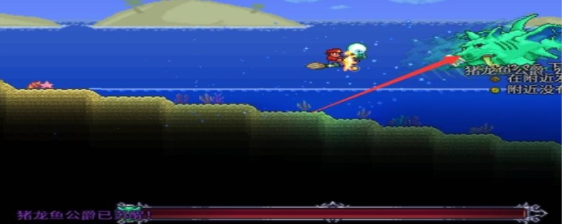 泰拉瑞亚猪龙鱼在哪钓