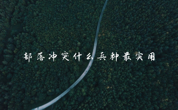 部落冲突什么兵种最实用