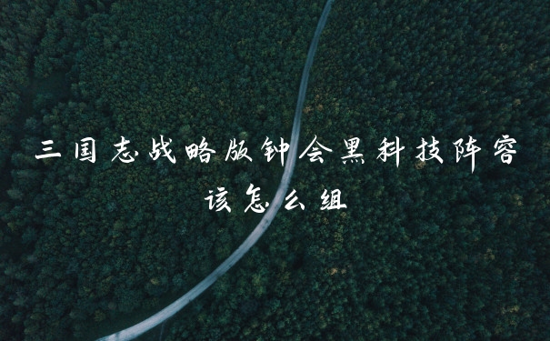 三国志战略版钟会黑科技阵容该怎么组