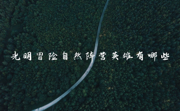 光明冒险自然阵营英雄有哪些