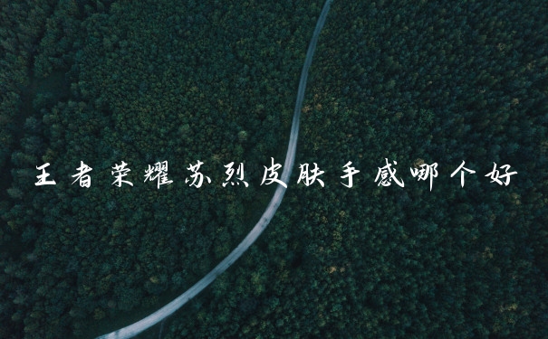 王者荣耀苏烈皮肤手感哪个好