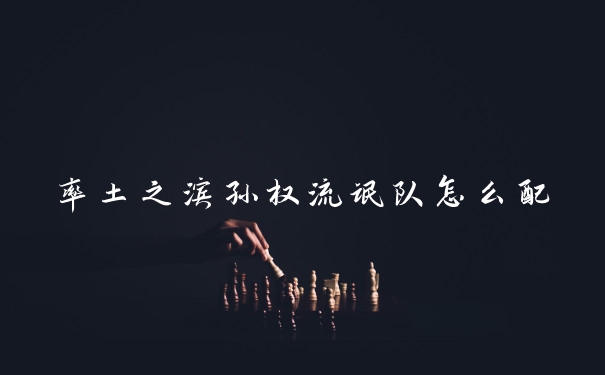 率土之滨孙权流氓队怎么配