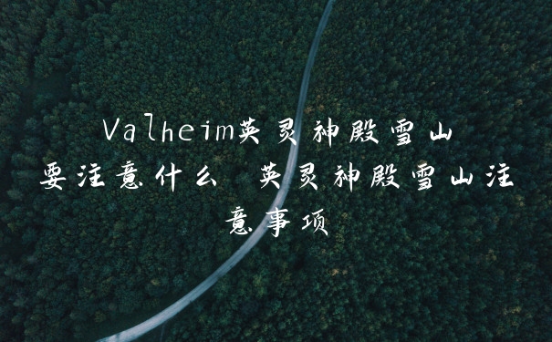 Valheim英灵神殿雪山要注意什么 英灵神殿雪山注意事项