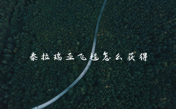 泰拉瑞亚飞毯怎么获得
