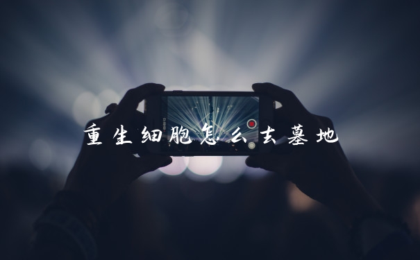 重生细胞怎么去墓地