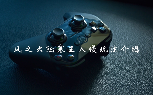 风之大陆寒王入侵玩法介绍