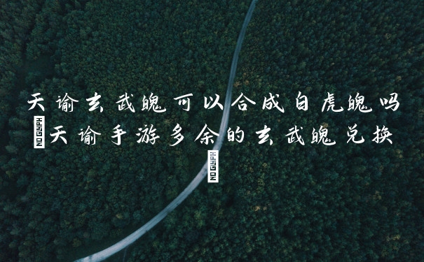 天谕玄武魄可以合成白虎魄吗(天谕手游多余的玄武魄兑换)