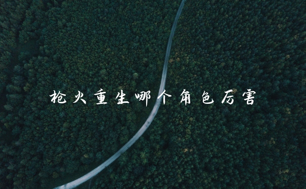 枪火重生哪个角色厉害