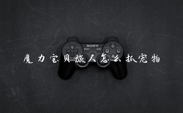 魔力宝贝旅人怎么抓宠物