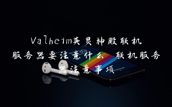 Valheim英灵神殿联机服务器要注意什么 联机服务器注意事项