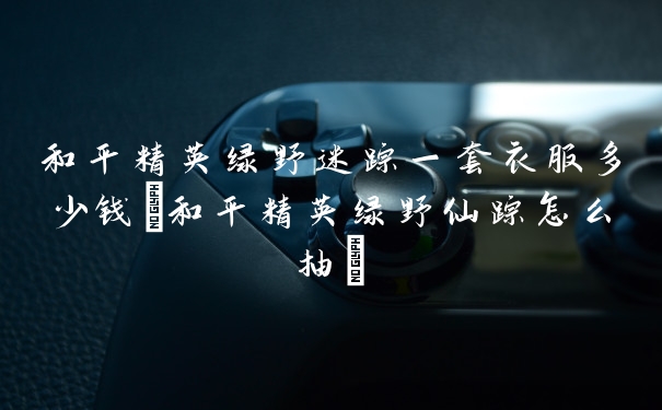 和平精英绿野迷踪一套衣服多少钱(和平精英绿野仙踪怎么抽)