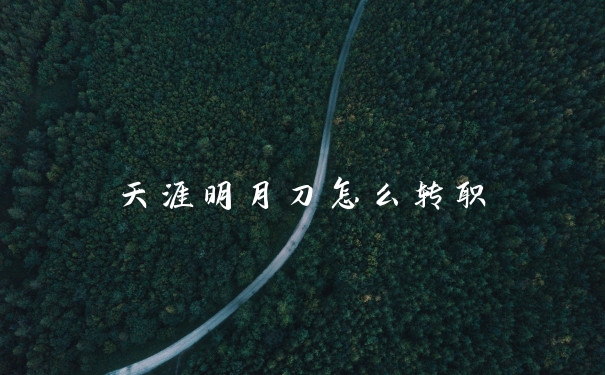 天涯明月刀怎么转职